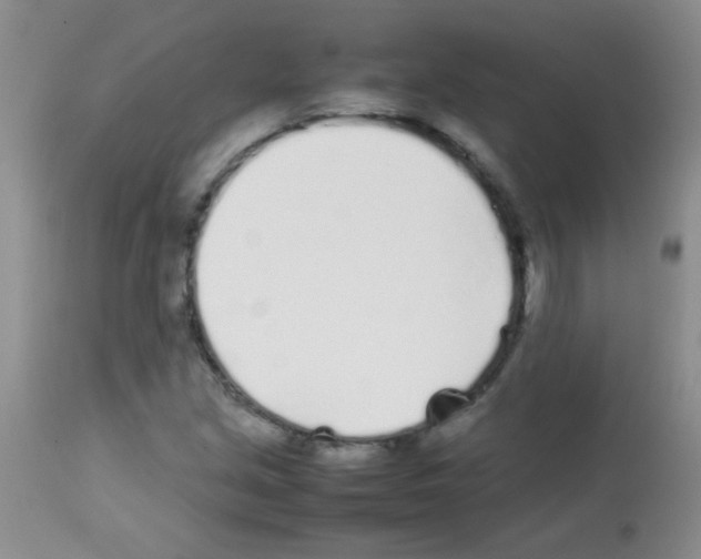 X0000113211213200910221055