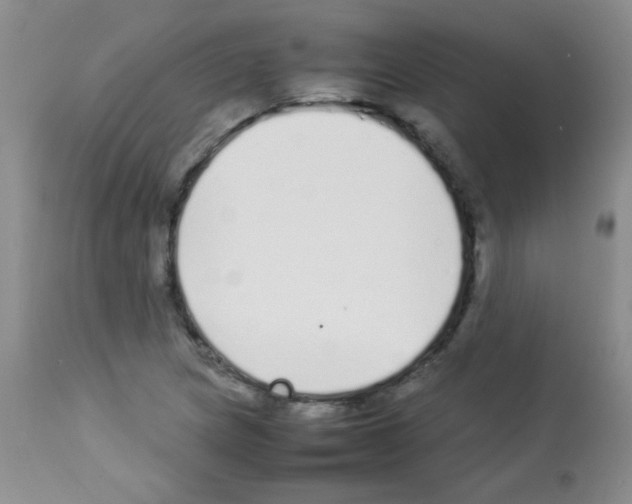 X0000113211217200910221055