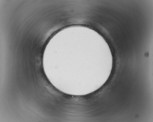 X0000113211218200910221055