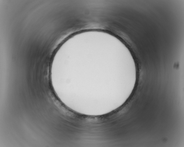 X0000113211220200910221055