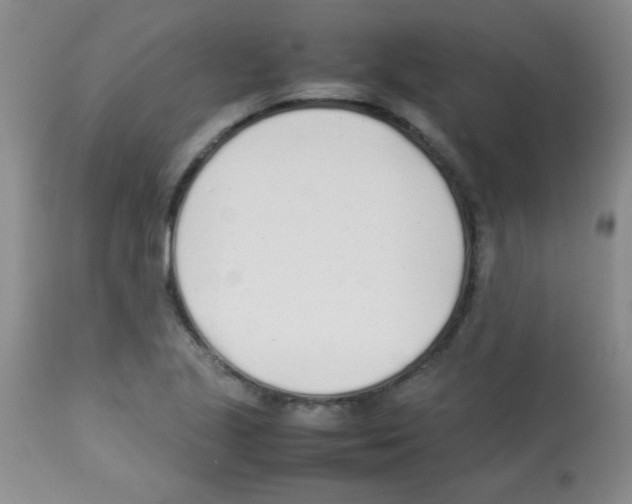 X0000113211221200910221055