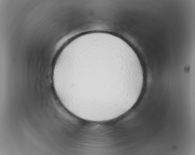 X0000113211222200910221055