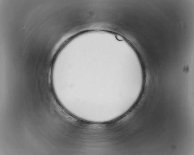 X0000113211224200910221055