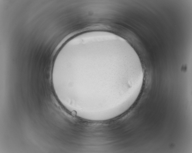 X0000113211228200910221055