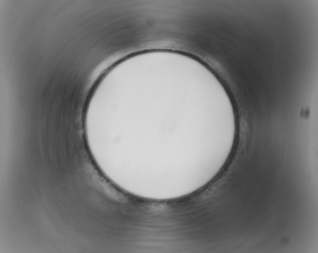 X0000113211230200910221055