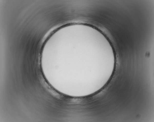 X0000113211232200910221055