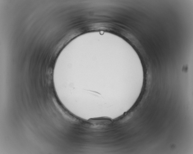 X0000113211233200910221055