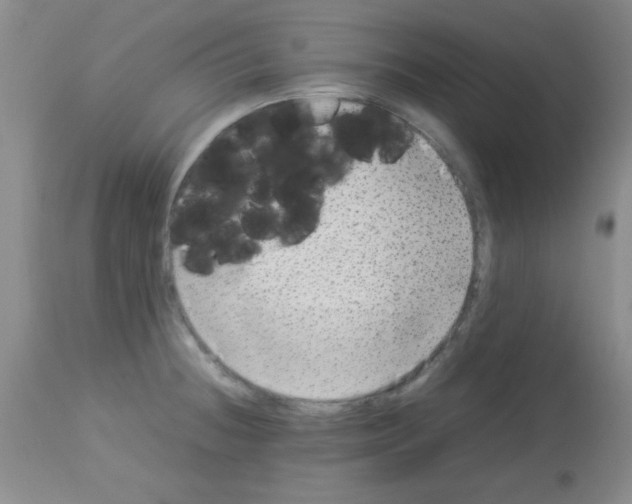 X0000113211236200910221055