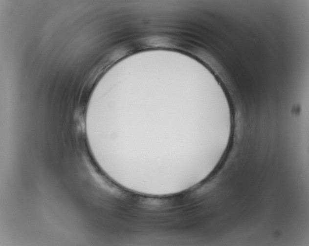 X0000113211241200910221055