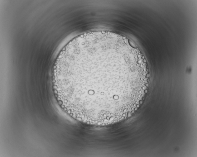 X0000113211243200910221055