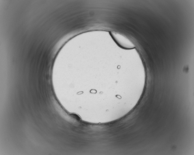 X0000113211246200910221055