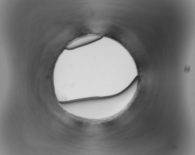 X0000113211249200910221055