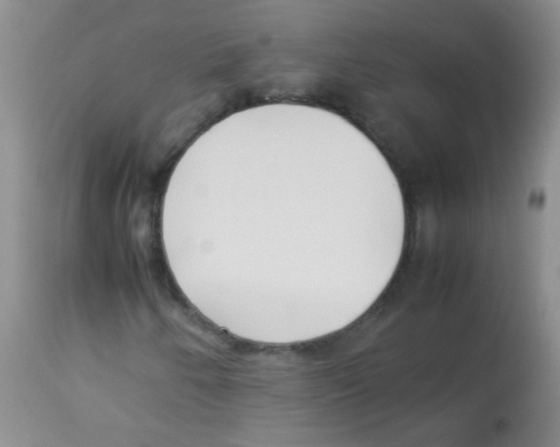 X0000113211250200910221055