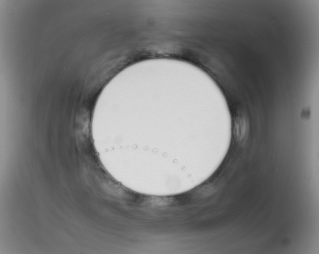 X0000113211251200910221055