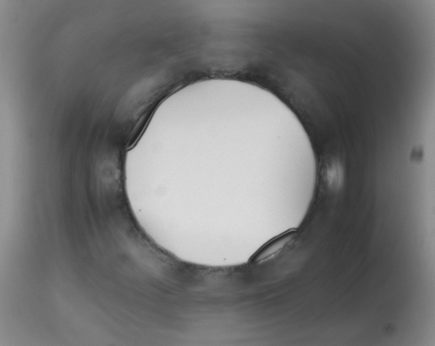 X0000113211252200910221055