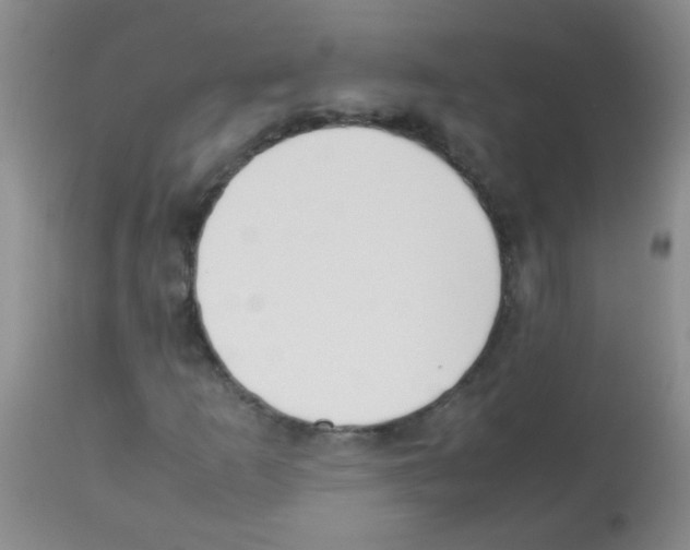 X0000113211253200910221055