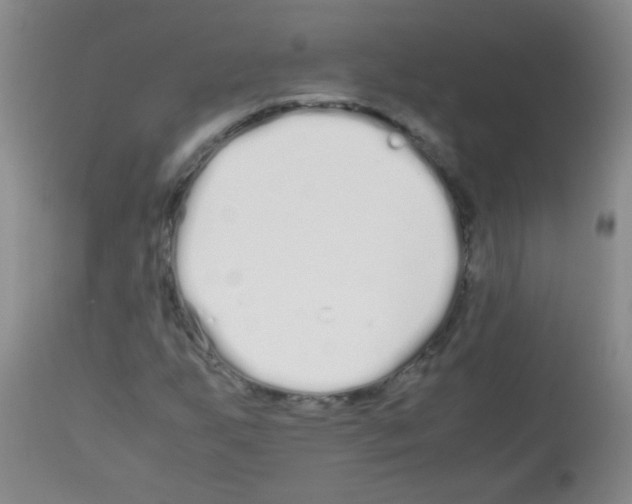 X0000113211255200910221055