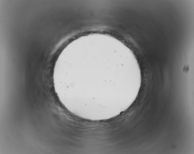 X0000113211256200910221054