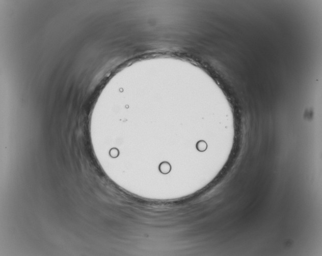 X0000113211257200910221054