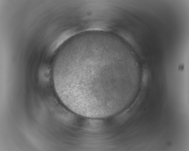 X0000113211258200910221054