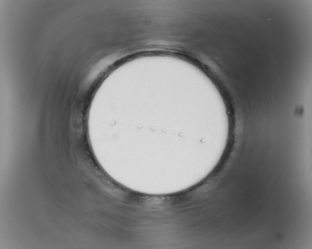 X0000113211259200910221054