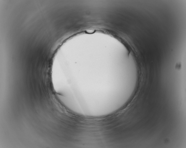 X0000113211260200910221054