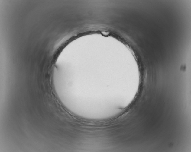 X0000113211261200910221054