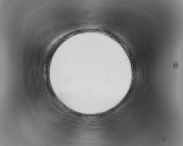 X0000113211262200910221054