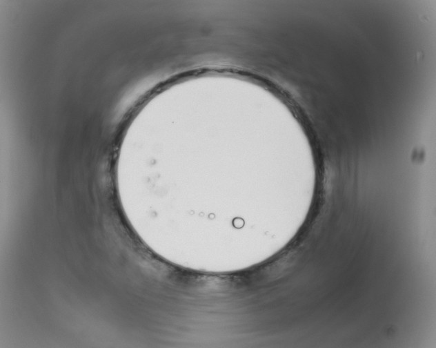 X0000113211263200910221054