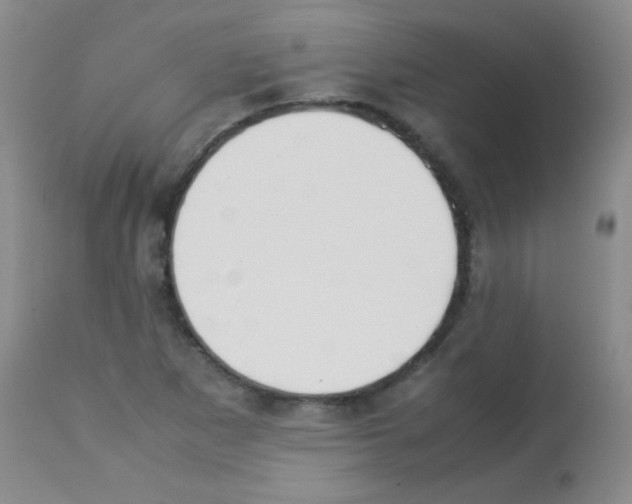 X0000113211265200910221054