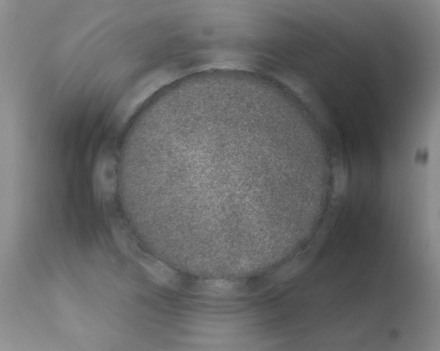 X0000113211266200910221054