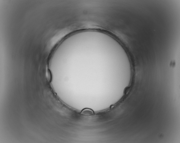 X0000113211269200910221054