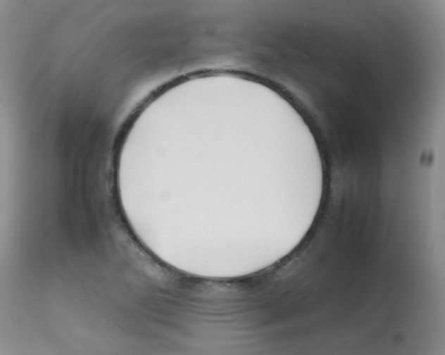 X0000113211270200910221054