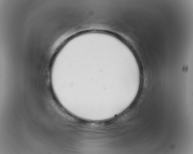 X0000113211271200910221054