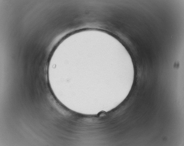 X0000113211272200910221054