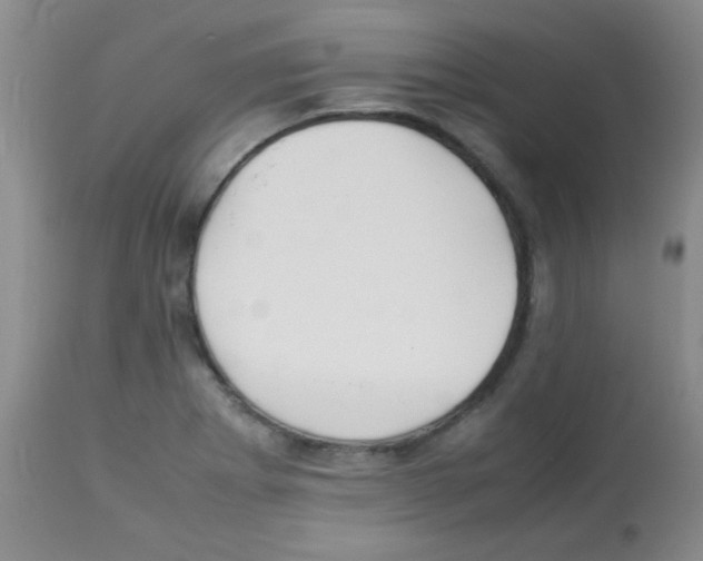 X0000113211273200910221054