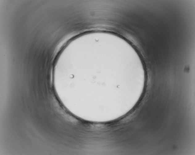 X0000113211275200910221054