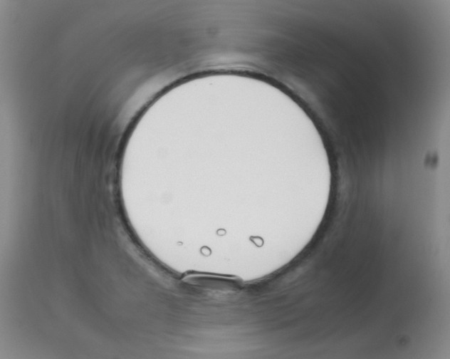 X0000113211277200910221054