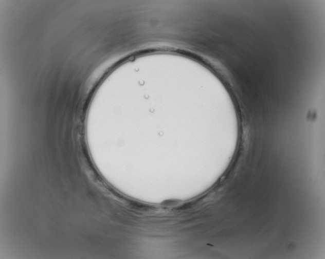 X0000113211279200910221054