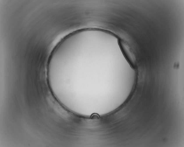 X0000113211280200910221054