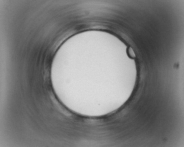 X0000113211281200910221054