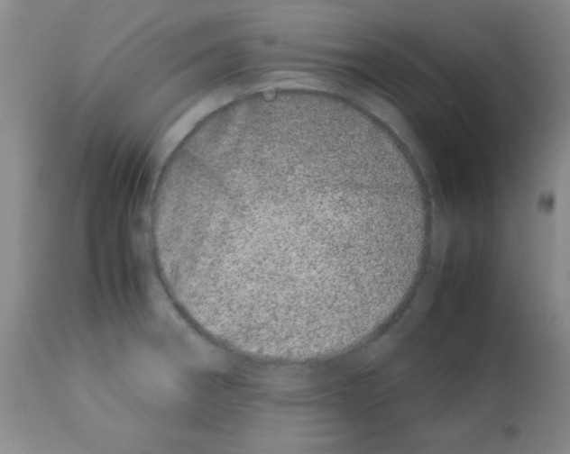 X0000113211282200910221054