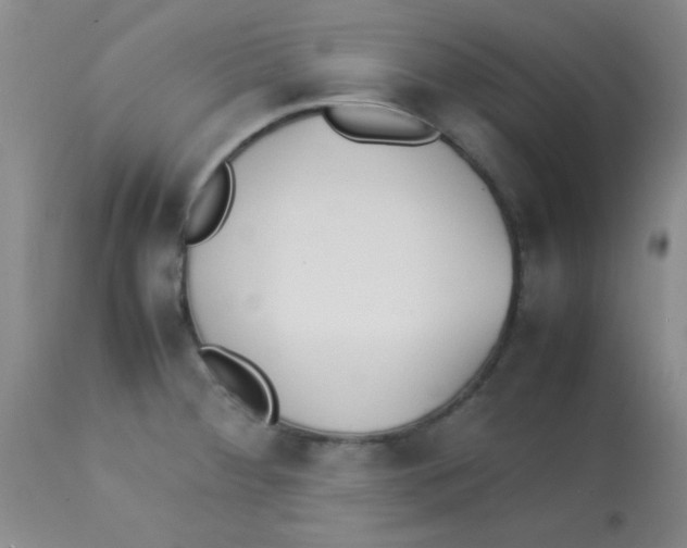 X0000113211284200910221054