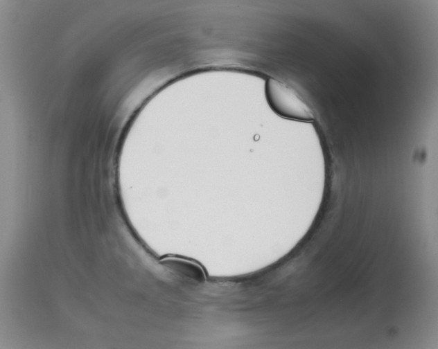 X0000113211285200910221054