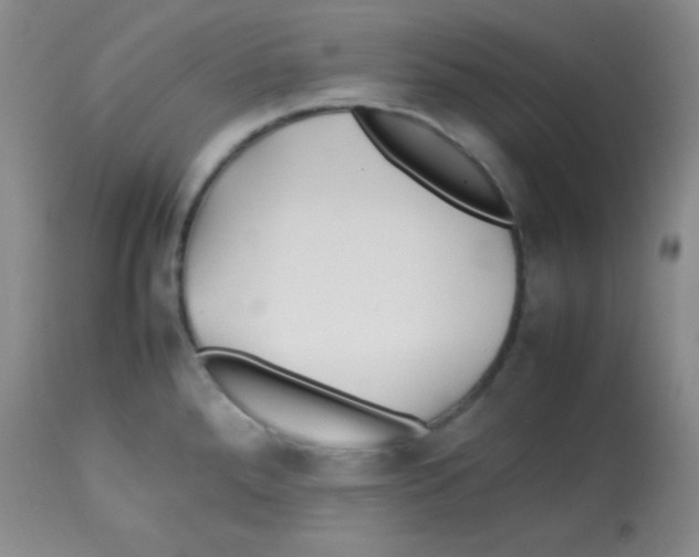 X0000113211288200910221054