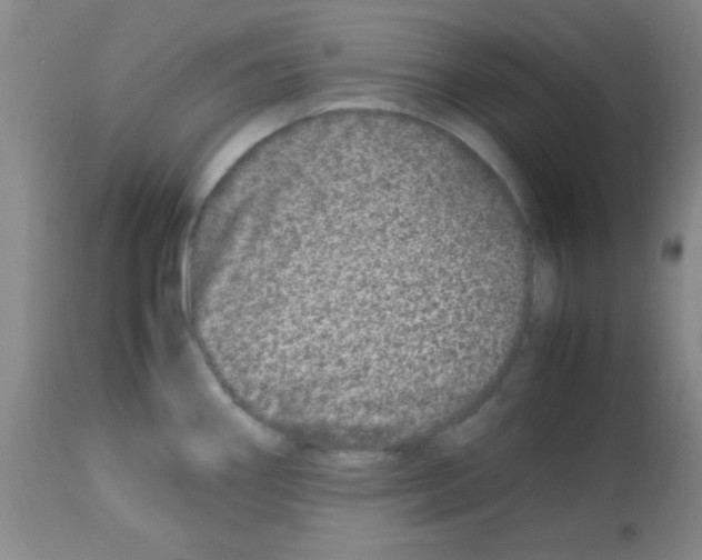 X0000113211290200910221054