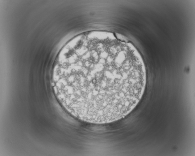 X0000113211291200910221054