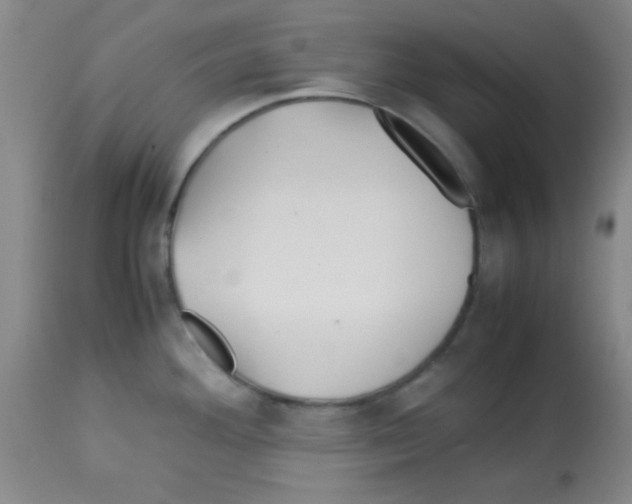 X0000113211292200910221054