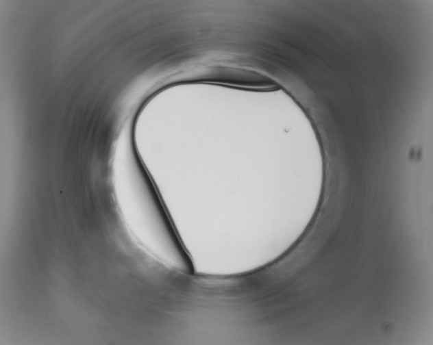 X0000113211296200910221054