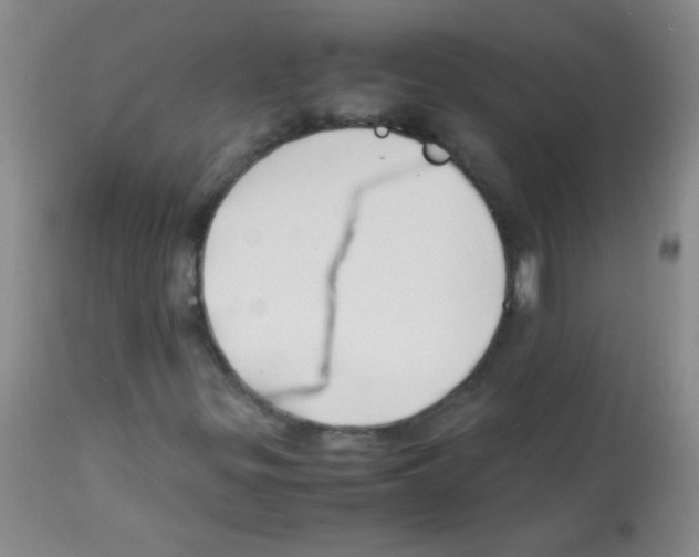 X0000113211299200910221053